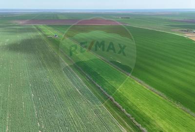 Teren agricol extravilan de 60000 mp, în Săcele - 23