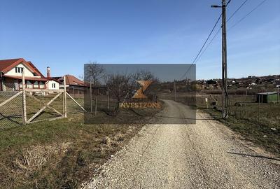 Teren de 700 mp, în Paleu - 5