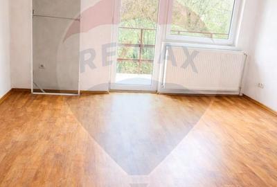 Casă cu 4 camere în Valea Cufundoasă - 10