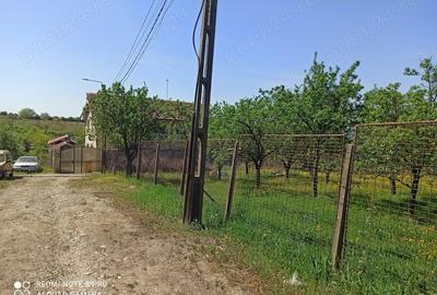Teren de 800 mp, în Cârcea - 3