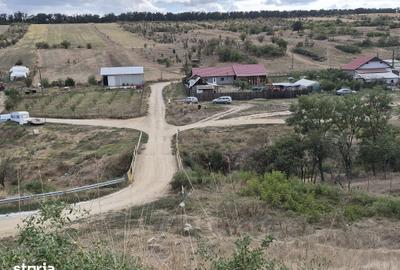 Teren de 50000 mp, în Bucovăț