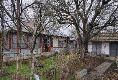 Casă cu Teren 2914 Mp în Bărcănești