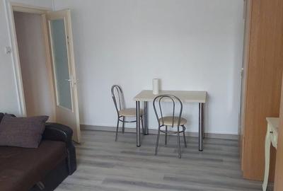 Garsonieră în Șagului