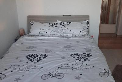 Apartament cu 3 camere decomandat în Popa Șapcă - 7
