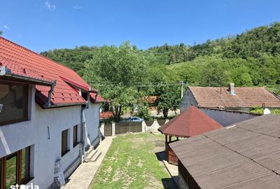 Casă cu 3 camere cu Teren 1485 Mp în Dobra - 6