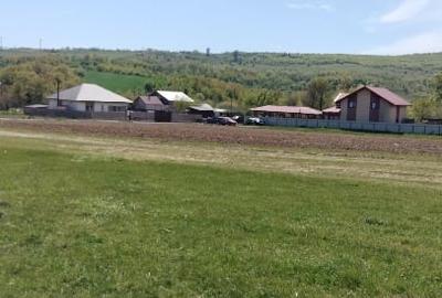 Teren Construcții extravilan de 7200 mp, în Grajduri - 4