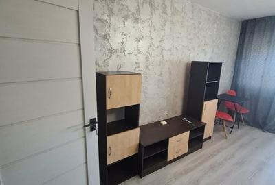 Garsonieră în Brazda lui Novac - 3