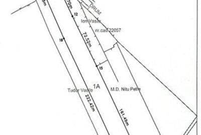 Teren de 7500 mp, în Albești-Paleologu - 3