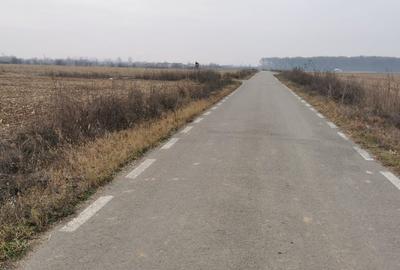 Teren Construcții intravilan de 4550 mp, în Ciolpani - 2