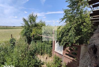 Teren de 11000 mp, în Clejani - 14