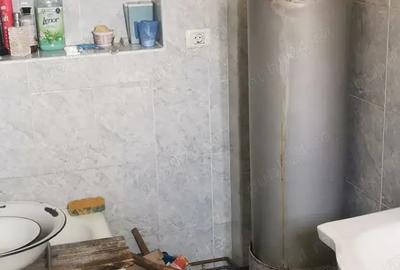 Casă cu 2 camere în Sebiș - 4