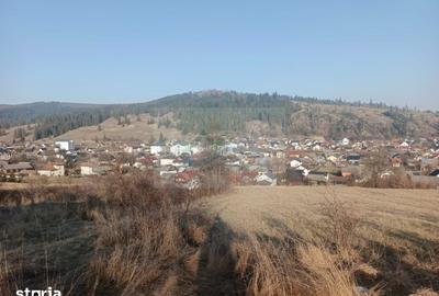 Teren de 3000 mp, în Curtești - 4