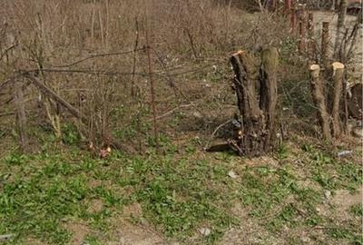Teren de 1200 mp, în Ghimpați