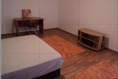 Garsonieră decomandată, mobilată în Calea Călărașilor - 7
