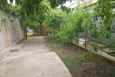 Casă cu 3 camere cu Teren 500 Mp în Central