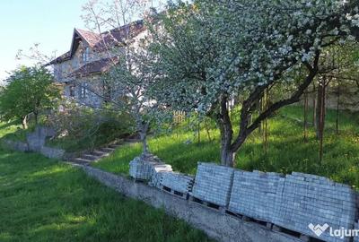 Teren de 4863 mp, în Adâncata - 5