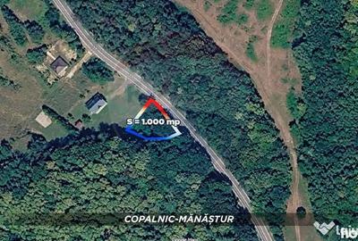 Teren în Curtuiușu Mic