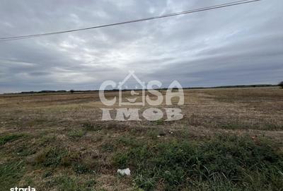 Teren de 1100 mp, în Mogoșani - 6