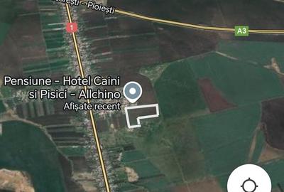 Teren Construcții intravilan de 500 mp, în Bărcănești