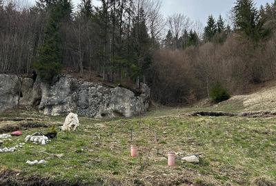 Teren de 6000 mp, în Dâmbovicioara - 2