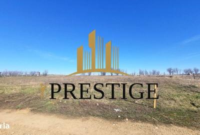 Teren de 873 mp, în Cristian - 6