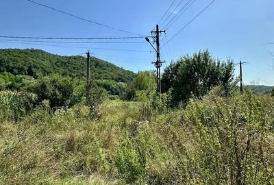 Teren de 2900 mp, în Zam - 4