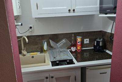Apartament cu 2 camere nedecomandat în Ultracentral - 3