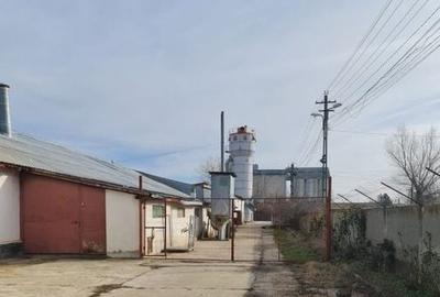 Spațiu industrial, de 2,500 mp, în Vest - 3