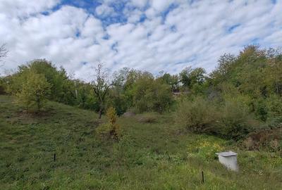 Teren de 5400 mp, în Drăgăneasa - 5