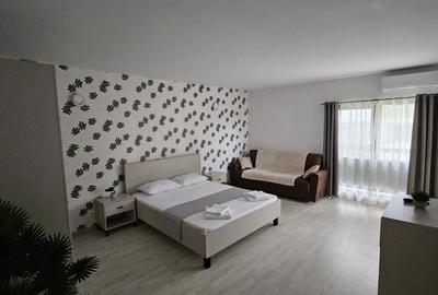 Casă cu 1 camere cu Teren 48 Mp în Mofleni