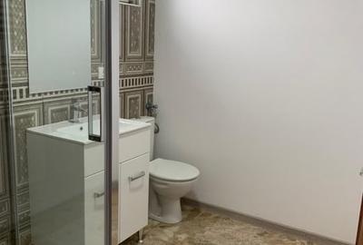 Casă individuală cu 16 camere cu Teren 1100 Mp în Șag - 16