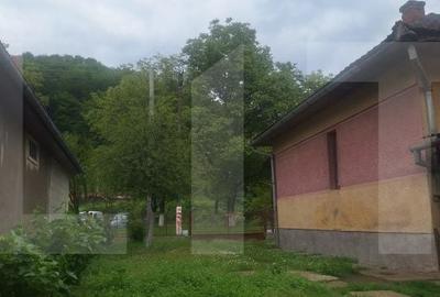 Casă cu 4 camere cu Teren 3745 Mp în Nădrag - 13