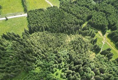 Teren extravilan de 5000 mp, în Sud-Est - 12