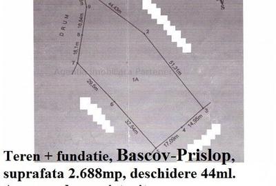 Teren Construcții intravilan de 700 mp, în Bascov - 4