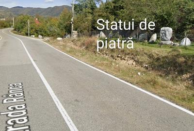 Teren în Central