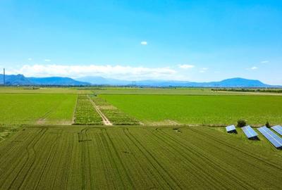 Teren agricol extravilan de 225 mp, în Hărman - 5