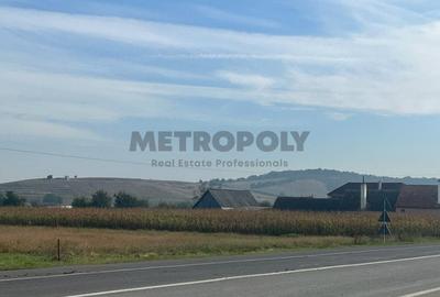 Teren Construcții intravilan de 7000 mp, în Cristian - 3