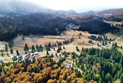 Teren Construcții intravilan de 5085 mp, în Poiana Brașov - 6
