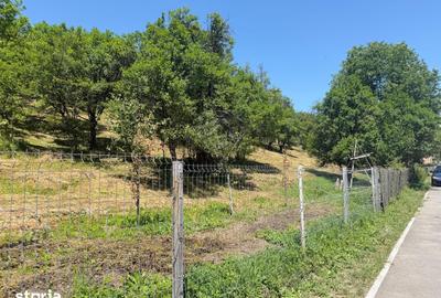Teren de 2316 mp, în Telega - 4