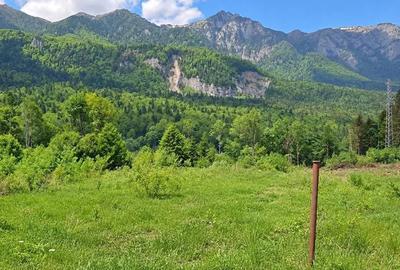 Teren Construcții intravilan de 1000 mp, în Cumpătu