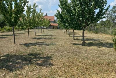 Casă cu 3 camere în Cuvin - 4