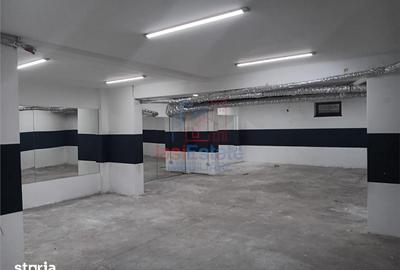 Spațiu comercial, de 403 mp, în Ciurea - 6