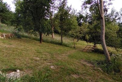 Teren de 3000 mp, în Posada