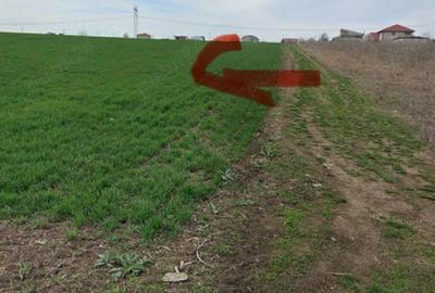 Teren de 6229 mp, în Frumușani - 1
