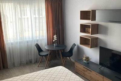 Garsonieră decomandată în Precista - 5