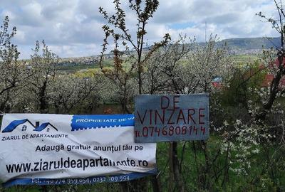 Teren de 1150 mp, în Bârnova - 1
