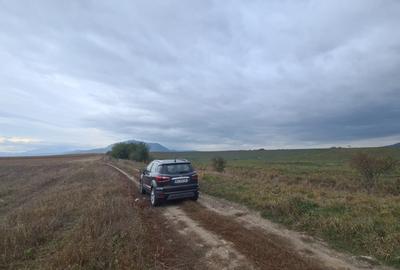 Teren agricol extravilan de 48100 mp, în Hălchiu - 10