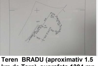 Teren Construcții intravilan de 500 mp, în Bradu - 4