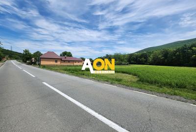 Teren Construcții intravilan de 936 mp, în Ampoița - 4