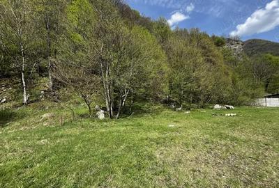 Teren de 919 mp, în Clopotiva - 2